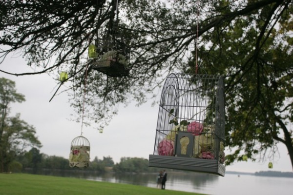 birdcages by elegance and simplicity