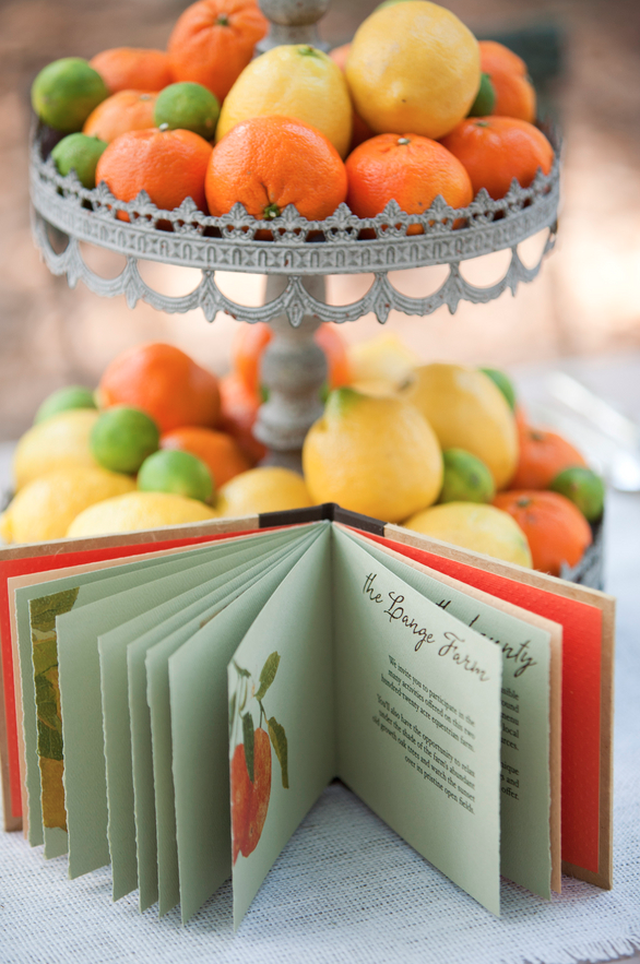 Fruit infused wedding style 