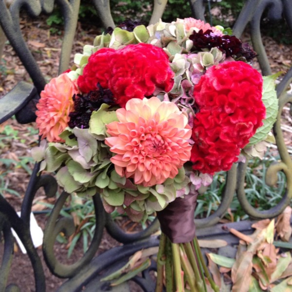 Bridesmaids bouquets with dahlias, celosia and scabiosa