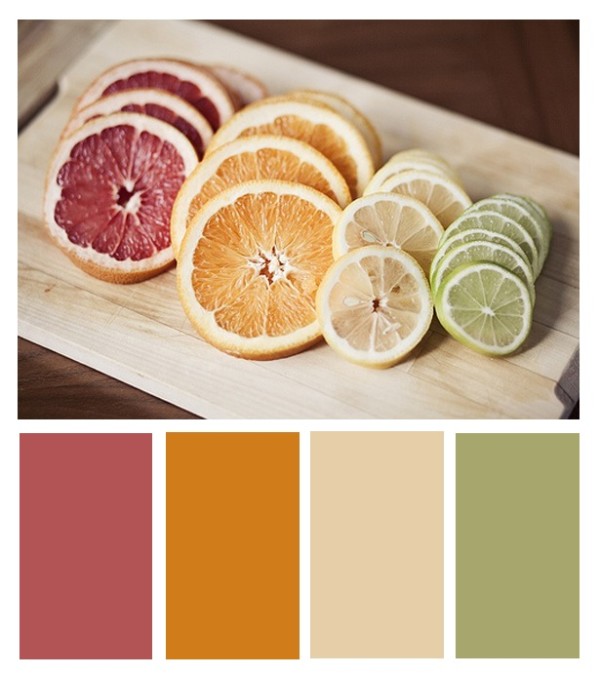 Citrus color palette