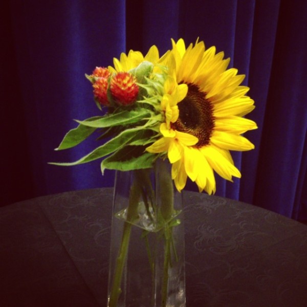 DC florist sunflowers