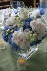 Blue Hydrangea with white peonies and white delphinium