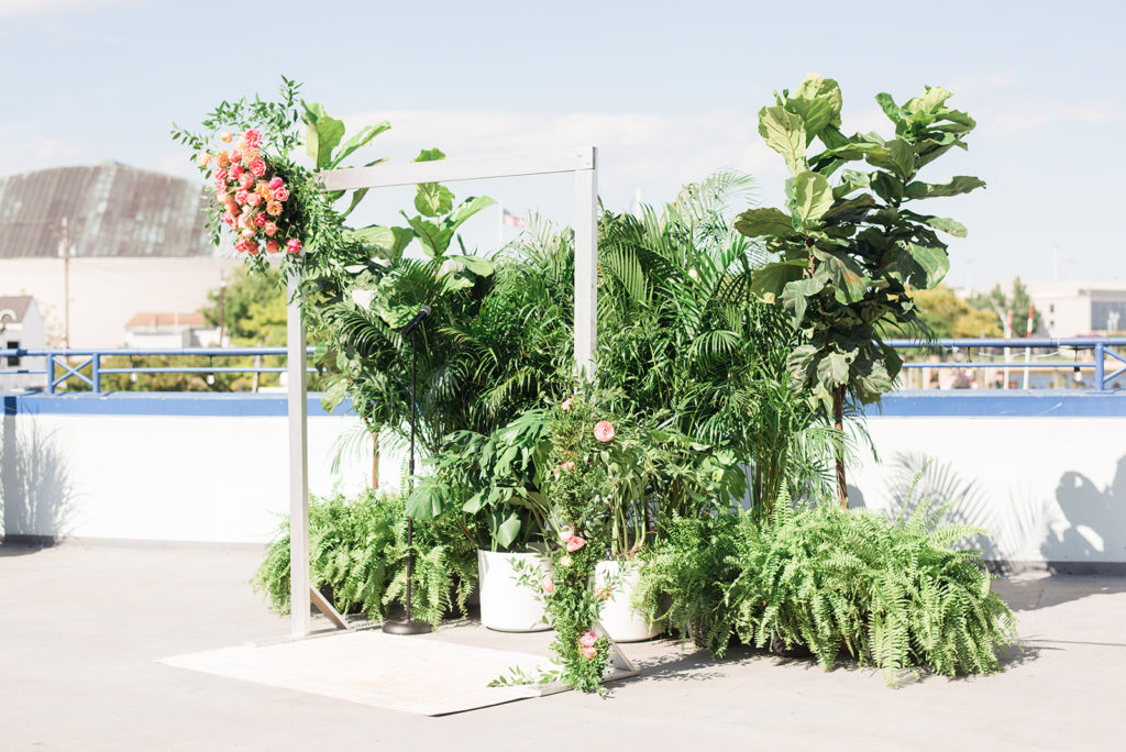 Plants for your backdrop